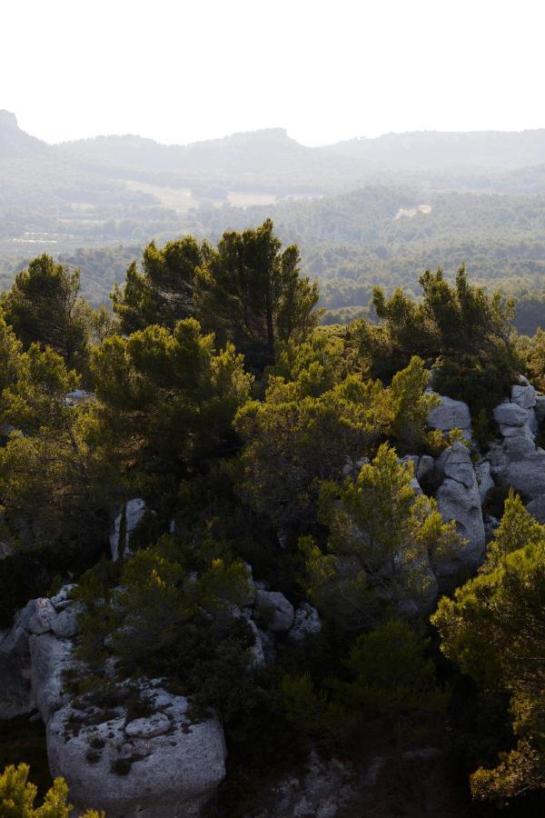 Le Mas Angelou Maussane-les-Alpilles Eksteriør billede