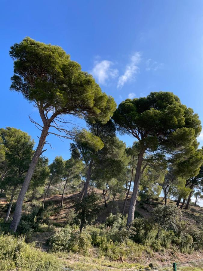 Le Mas Angelou Maussane-les-Alpilles Eksteriør billede